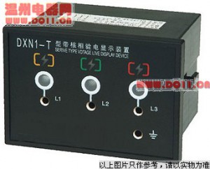 户内高压带电显示器(带验电)DXN8-T(Q)